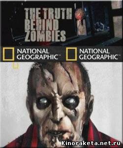 Правда о зомби / The truth behind zombies (2010) SATRip онлайн