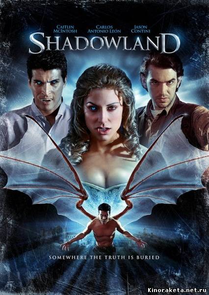 Царство теней / Shadowland (2010) DVDRip онлайн