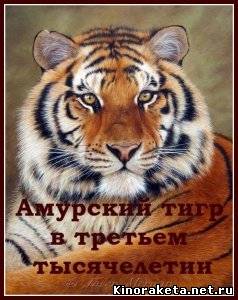 Амурский тигр в третьем тысячелетии (2010) DVDRip онлайн онлайн