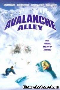 Долина лавин / Avalanche Alley (2001) DVDRip онлайн онлайн