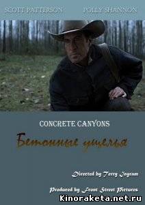 Бетонные ущелья / Concrete Canyons (2010) DVDRip онлайн онлайн