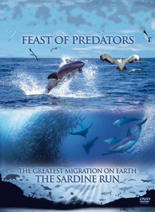 Пир хищников / Feast of Predators (2004) онлайн