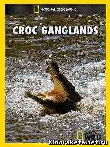 Крокодильи разборки / Croc Ganglands (2010) SATRip онлайн онлайн