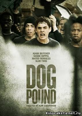 Загон для собак / Собачий загон / Dog Pound (2010) онлайн