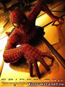 Человек-паук / Spider-Man (2002) DVDRip онлайн онлайн