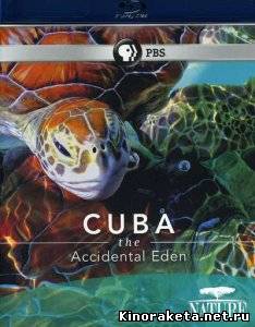Куба. Случайный рай / Cuba. The Accidental Eden (2010) BDRip онлайн онлайн