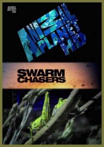 В погоне за стаей. Саранча / Swarm Chasers Locusts (2011) DVDRip онлайн онлайн