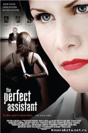 Само совершенство / The Perfect Assistant (2008) онлайн
