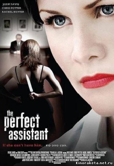 Само совершенство / The Perfect Assistant (2008) онлайн